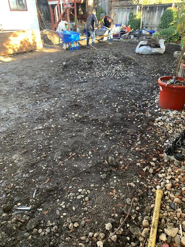 Affordable yard cleanup service in Concord, CA by B&V Gardening and Landscaping Handyman Services