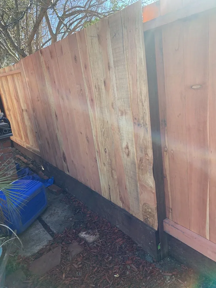 Reliable yard cleanup service for beautiful yards in Concord, CA by B&V Gardening and Landscaping Handyman Services