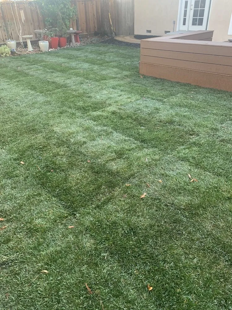 Reliable landscape installation for year-round maintenance across Concord, CA - B&V Gardening and Landscaping Handyman Services