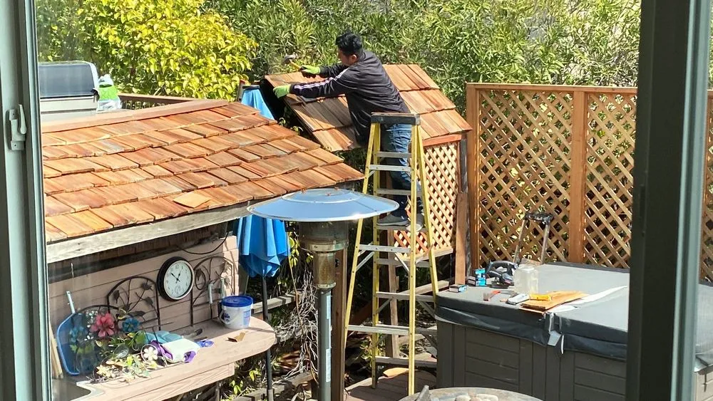 Affordable yard maintenance experts serving Concord, CA - B&V Gardening and Landscaping Handyman Services