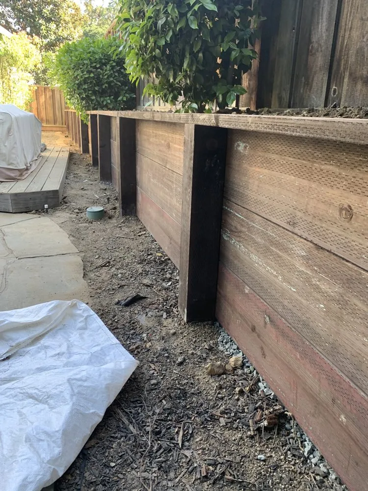 Trusted yard maintenance experts serving Concord, CA - B&V Gardening and Landscaping Handyman Services