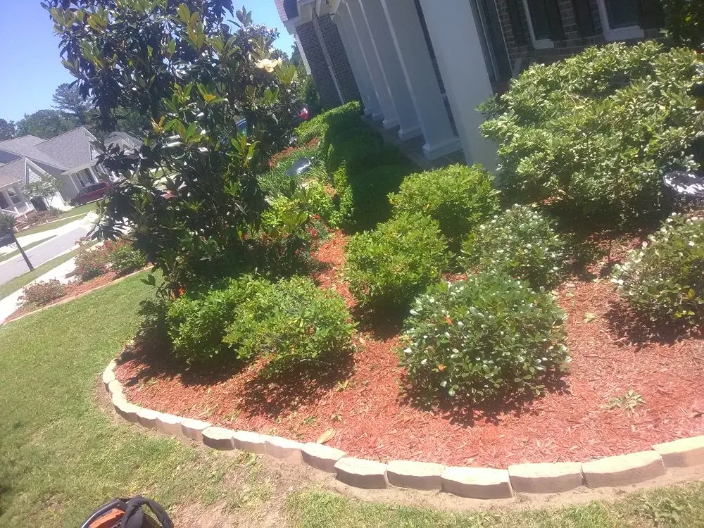 Affordable garden landscaping for beautiful yards across Tallahassee, FL - Bv Landscapes