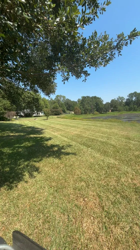 Professional lawn mowing service experts serving Tallahassee, FL - BV Landscapes