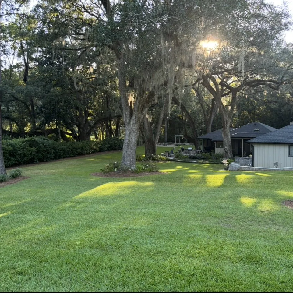 Expert yard cleanup service in Tallahassee, FL - BV Landscapes