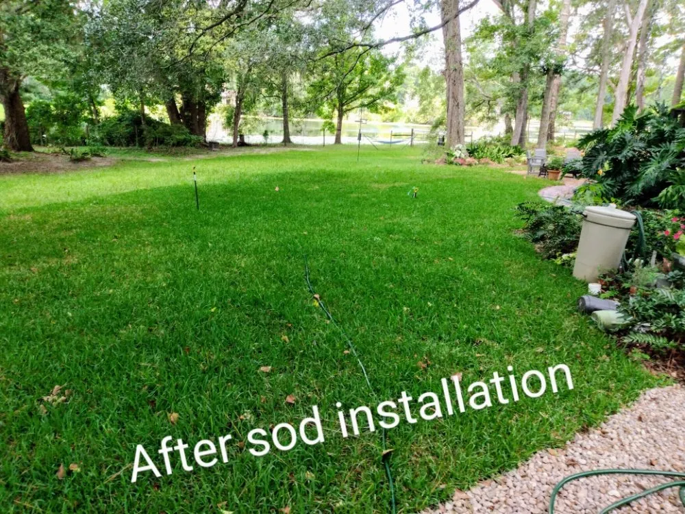 Trusted yard cleanup service in Tallahassee, FL - Bv Landscapes