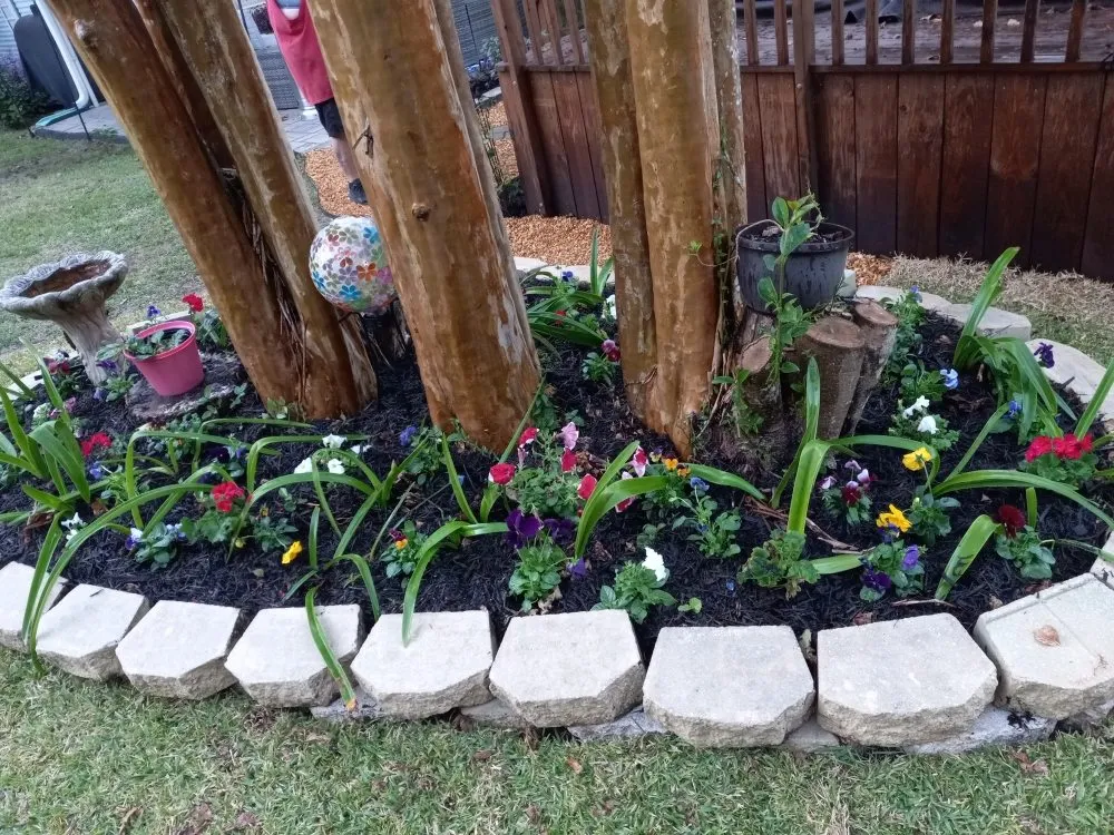 Local landscape design for homes across Tallahassee, FL - Bv Landscapes