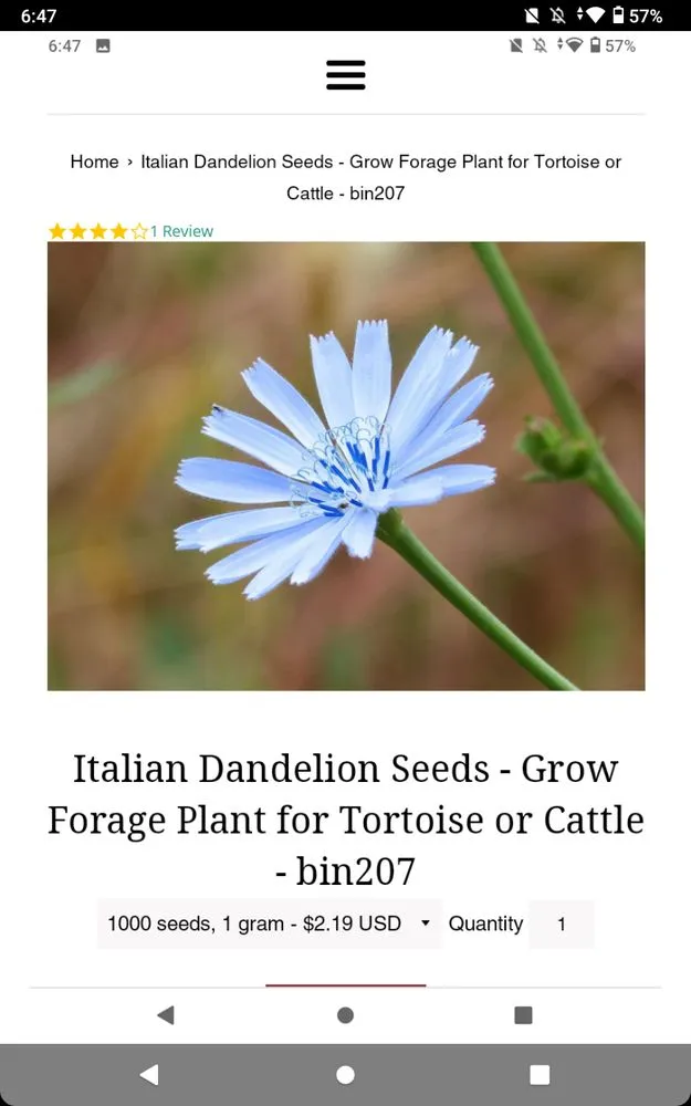 Affordable lawn mowing service for residential properties in El Campo, TX by B&V Landscaping