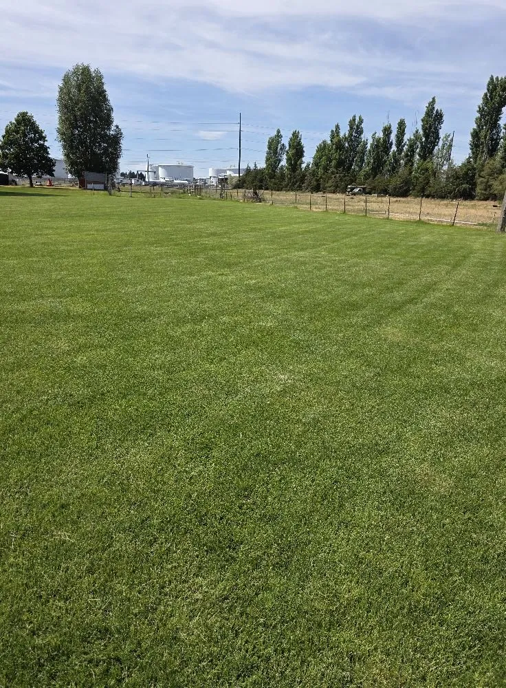 Local landscape installation experts serving Moses Lake, WA - BV Landscaping