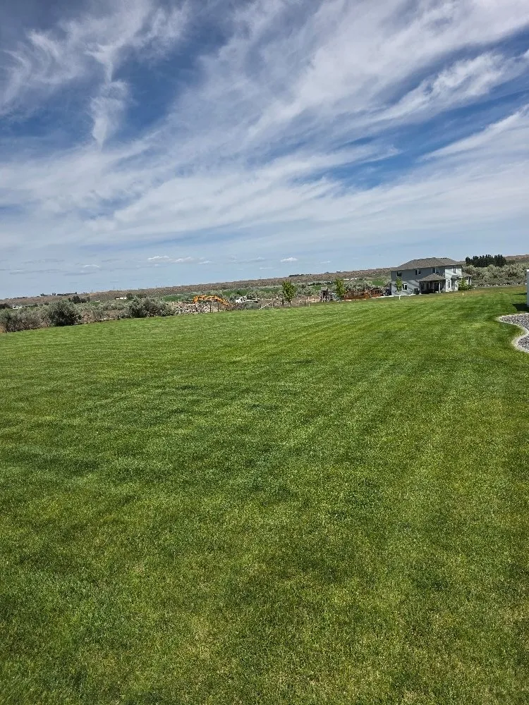 Top-rated yard maintenance in Moses Lake, WA - BV Landscaping