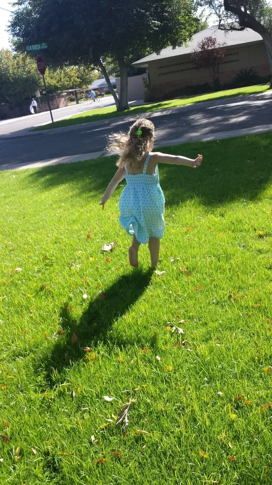 Top-rated outdoor landscaping near you across Queen Creek, AZ - BV Lawn Care