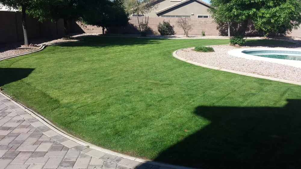 Custom lawn care service in Queen Creek, AZ - BV Lawn Care