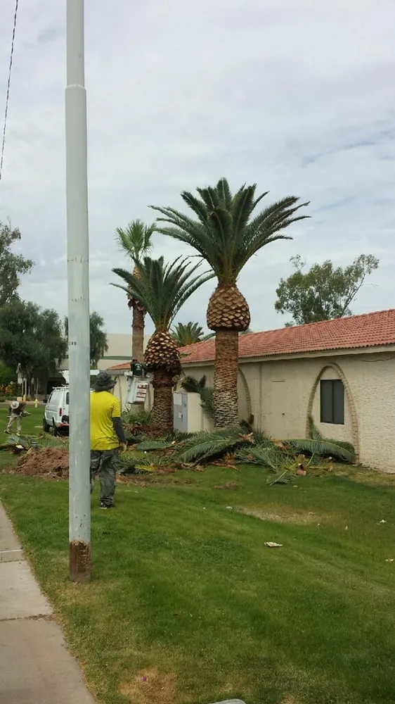 Expert yard maintenance experts serving Queen Creek, AZ - BV Lawn Care