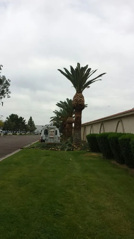 Affordable landscape design experts serving Queen Creek, AZ - BV Lawn Care