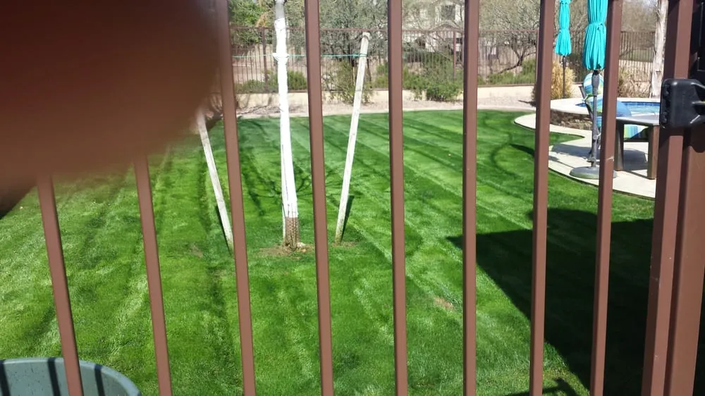 Custom landscape installation for beautiful yards in Queen Creek, AZ by BV Lawn Care