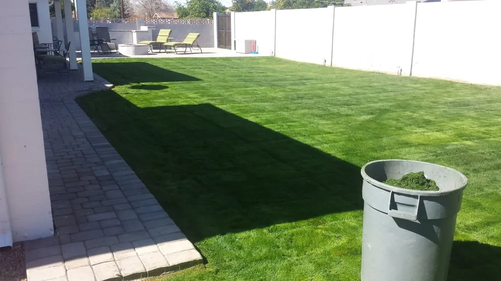 Affordable residential landscaping for outdoor upgrades across Queen Creek, AZ - BV Lawn Care