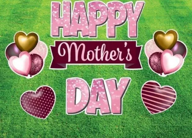 Expert yard maintenance experts serving San Antonio, TX - BV Lawns and Landscaping