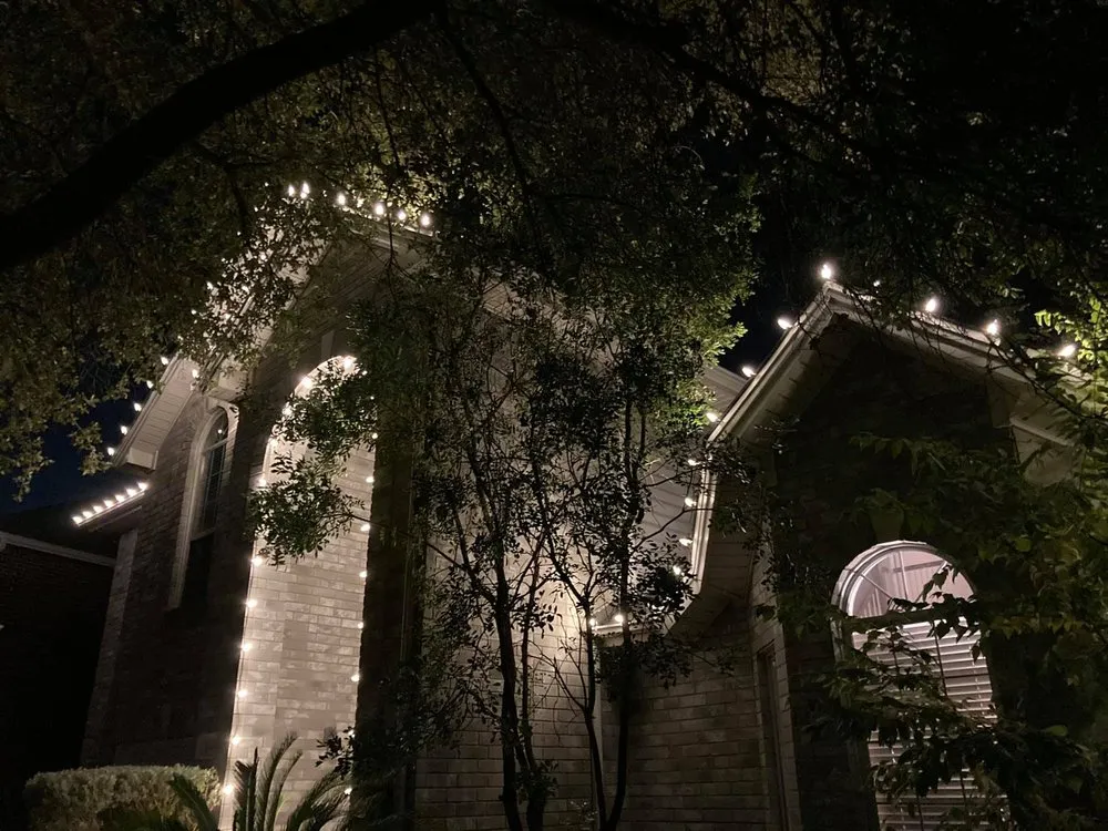 Trusted yard cleanup service near you across San Antonio, TX - BV Lawns and Landscaping