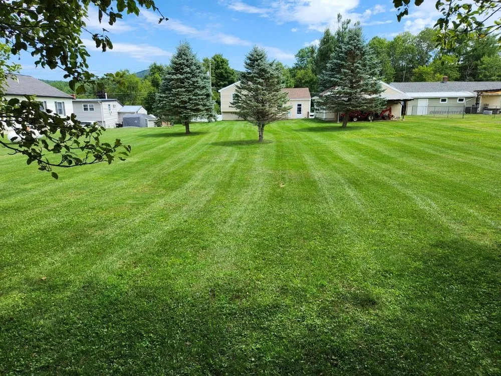 Top-rated landscape installation experts serving Claremont, NH - BV Property Maintenance