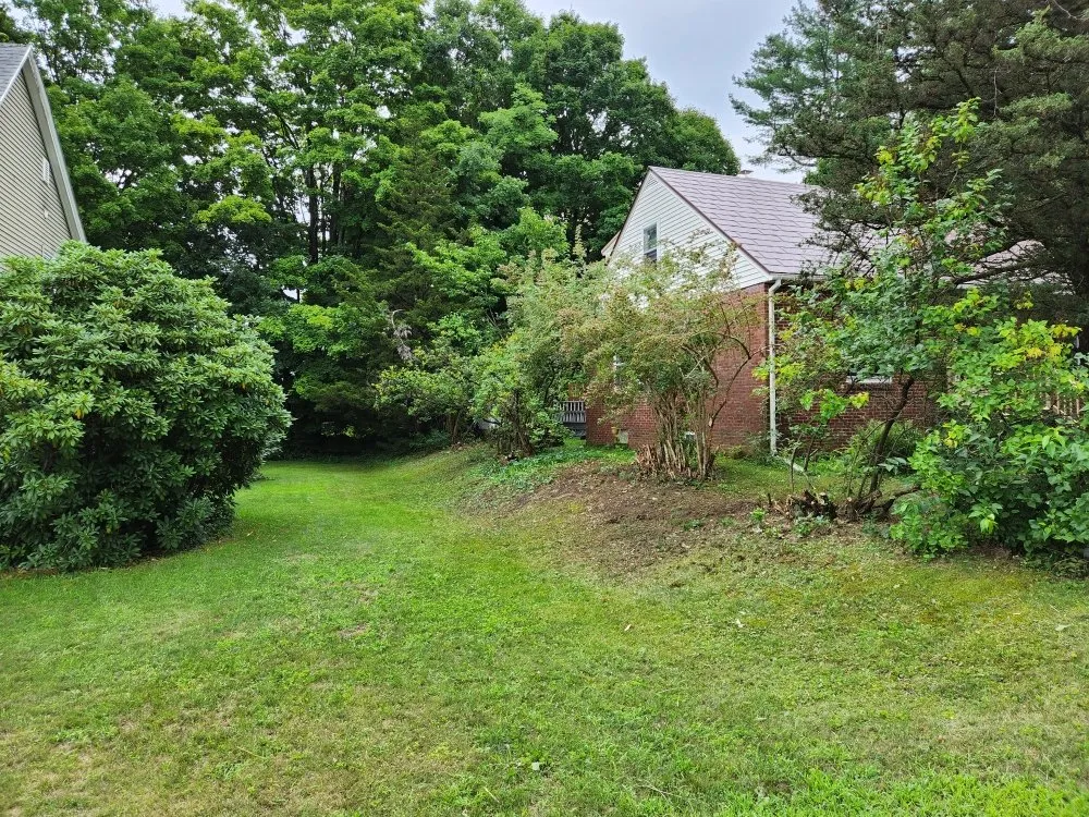 Trusted yard cleanup service for year-round maintenance across Claremont, NH - BV Property Maintenance