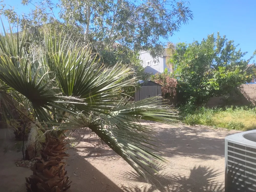 Expert yard cleanup service experts serving Coolidge, AZ - BVA Landscaping and Hardscaping