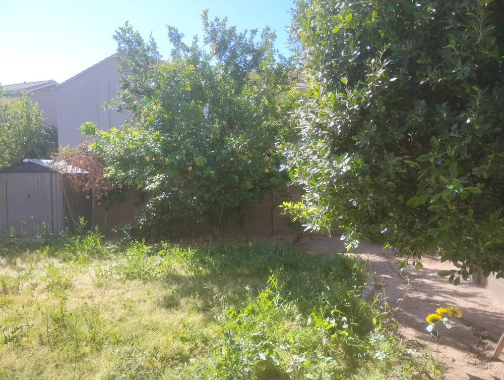 Professional landscaping services experts serving Coolidge, AZ - BVA Landscaping and Hardscaping