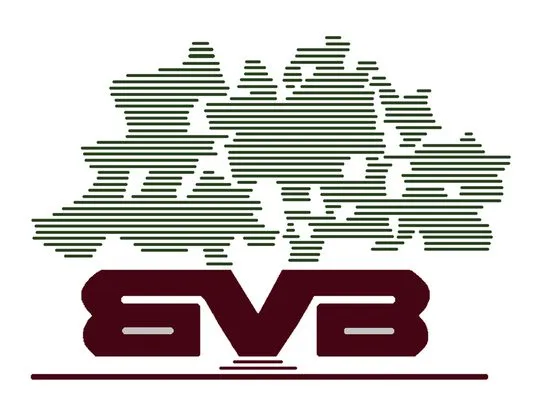 BVB Creative Designs Logo