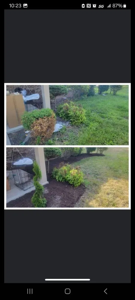 Professional lawn care service in Richmond, KY - BW Cleanup