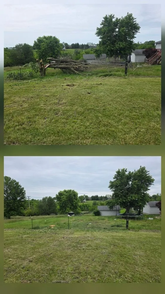 Reliable garden landscaping experts serving Richmond, KY - BW Cleanup