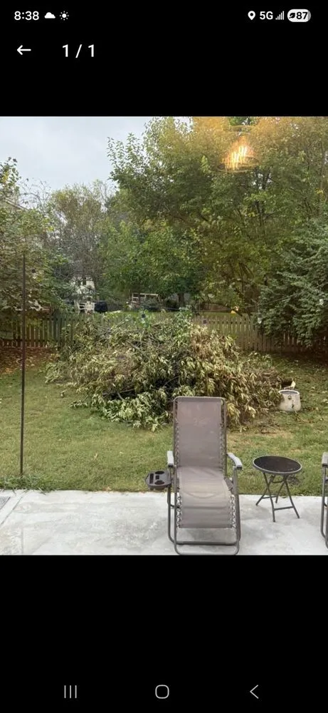 Local landscape installation for year-round maintenance across Richmond, KY - BW Cleanup