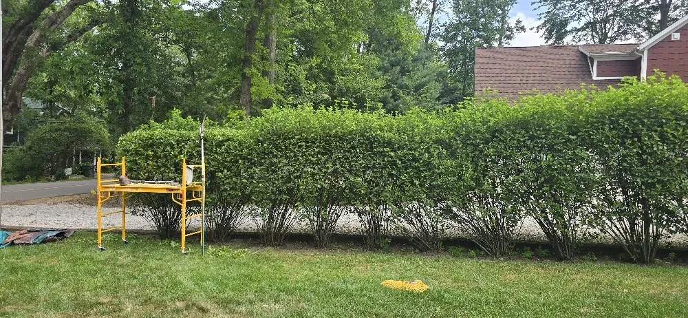 Reliable garden landscaping for year-round maintenance in Edwardsburg, MI by BW Fertilizing