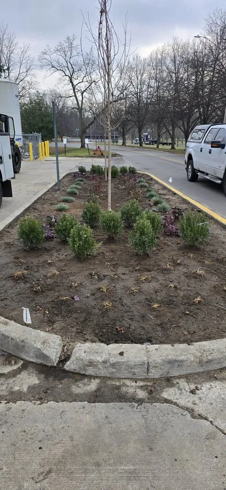 Trusted yard cleanup service experts serving Edwardsburg, MI - BW Fertilizing