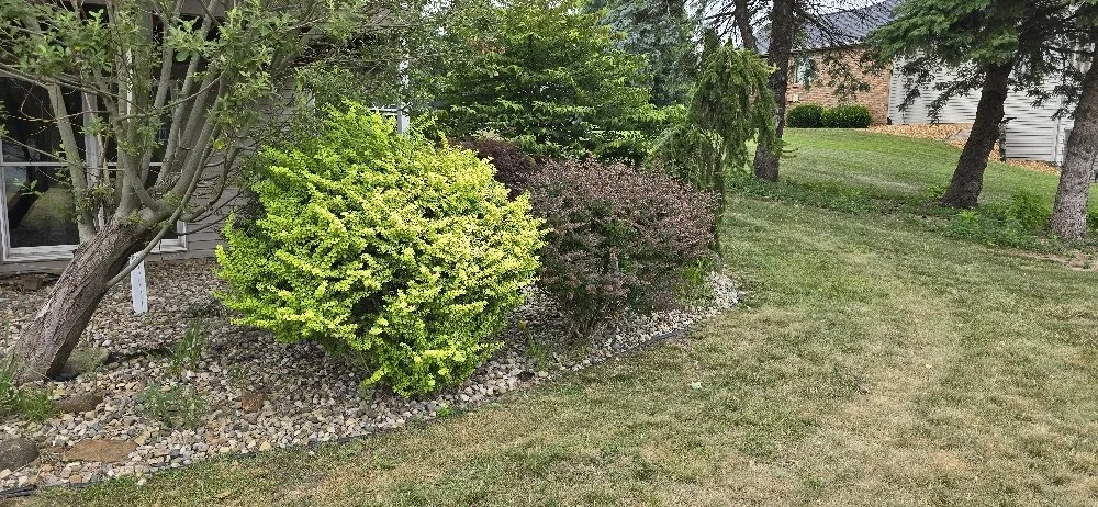 Professional landscape installation with custom design in Edwardsburg, MI by BW Fertilizing