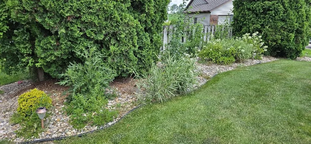 Local landscape installation in Edwardsburg, MI by BW Fertilizing