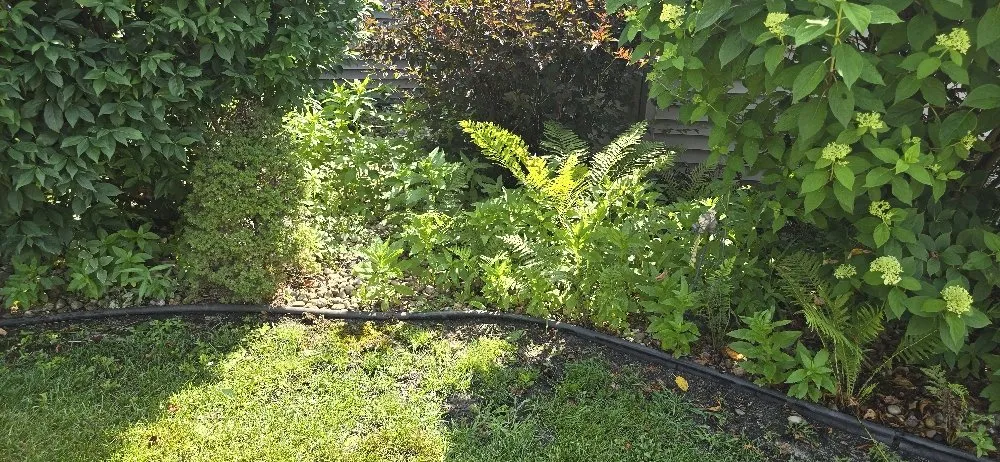 Expert landscaping services experts serving Edwardsburg, MI - BW Fertilizing