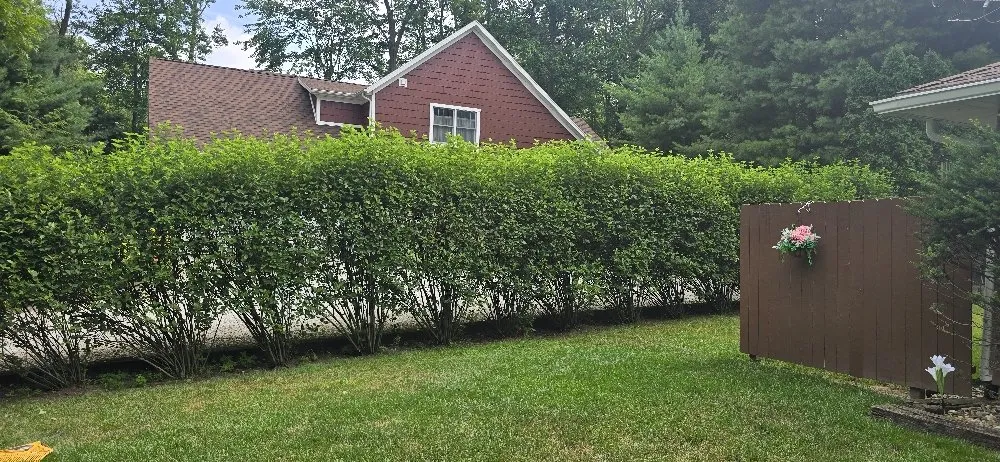 Affordable landscape installation in Edwardsburg, MI by BW Fertilizing