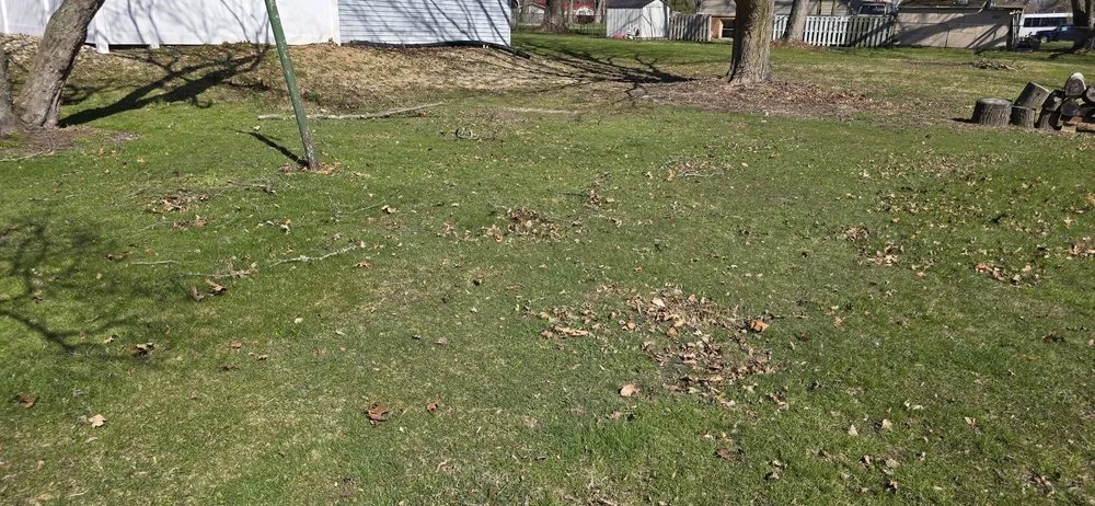 Trusted landscaping services for outdoor upgrades in Edwardsburg, MI by BW Fertilizing