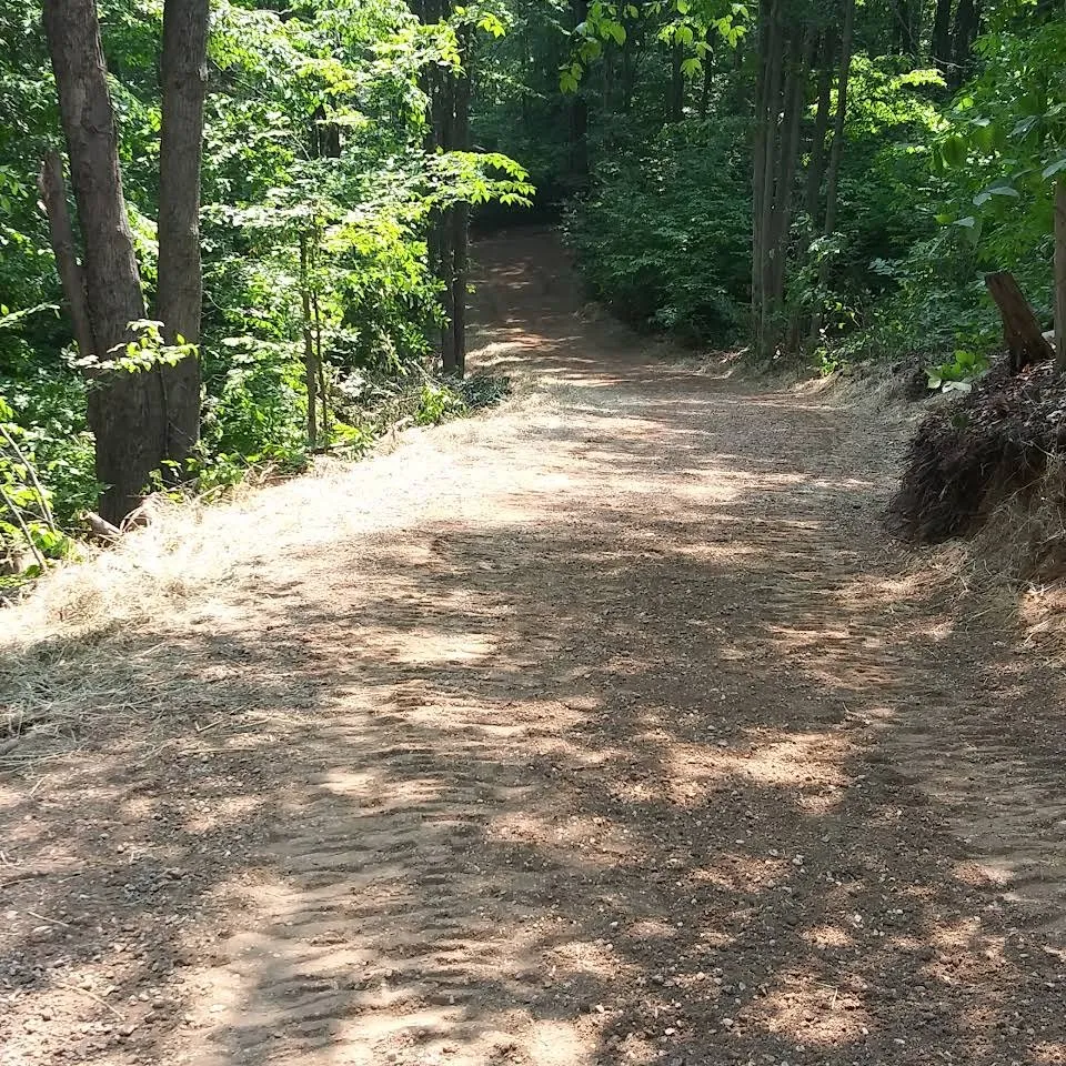 Reliable lawn mowing service for beautiful yards in Cadillac, MI by BW Land & Services