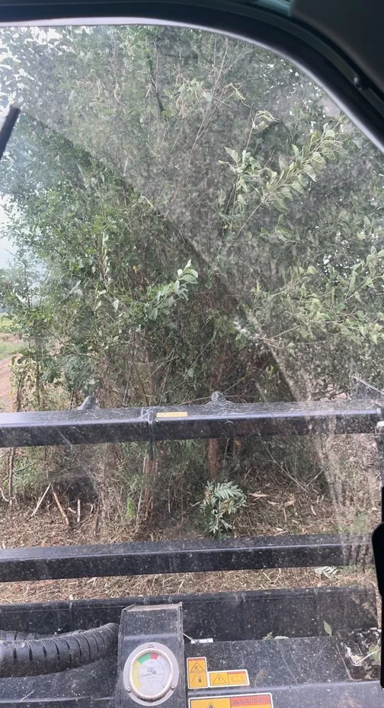 Affordable landscape design for beautiful yards in Smithland, IA by BW Land Management