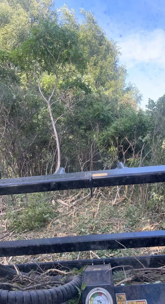 Custom garden landscaping in Smithland, IA by BW Land Management