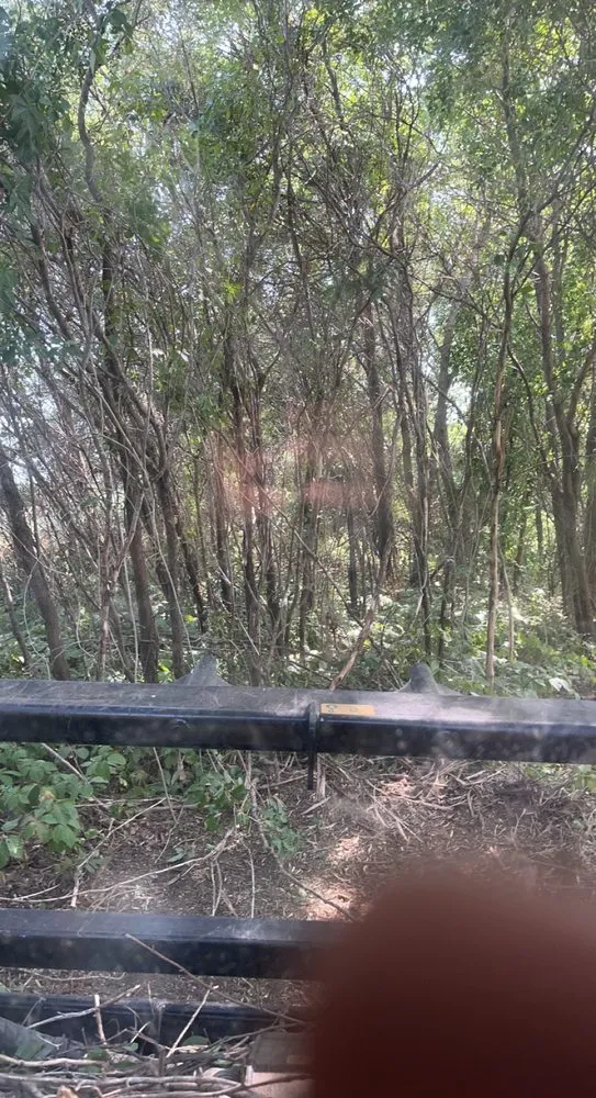 Professional landscape design for residential properties in Smithland, IA by BW Land Management