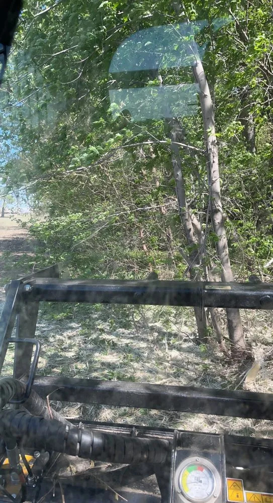 Trusted yard cleanup service in Smithland, IA - BW Land Management