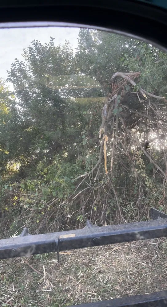 Professional outdoor landscaping for homes across Smithland, IA - BW Land Management