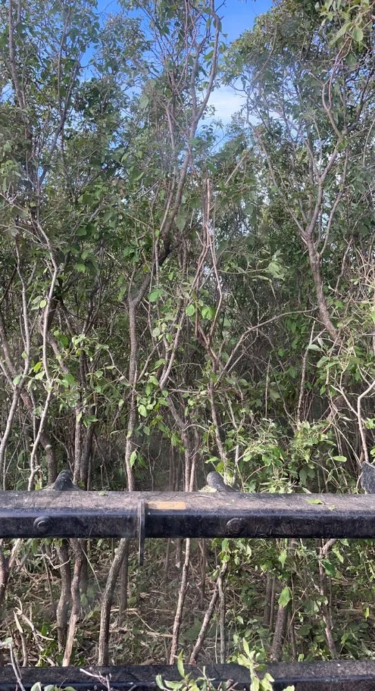 Reliable yard maintenance with custom design in Smithland, IA by BW Land Management