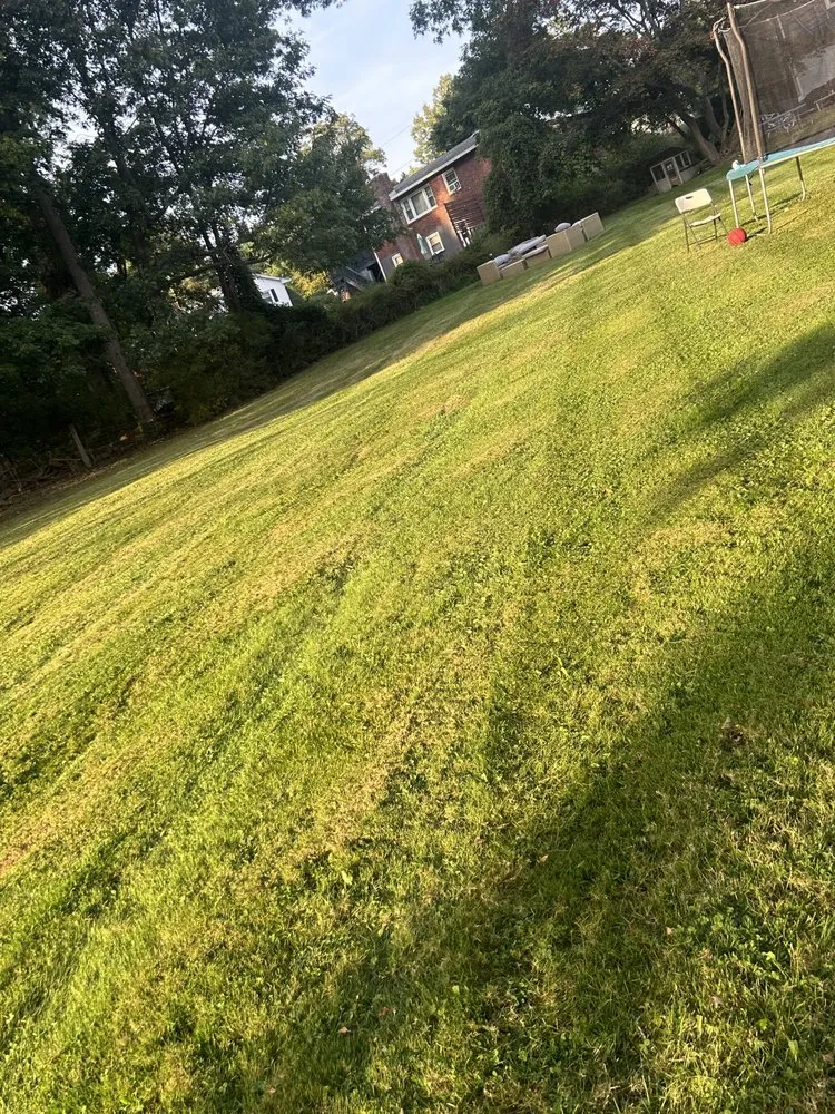 Expert landscape installation in Mount Kisco, NY - B&W Landscaping