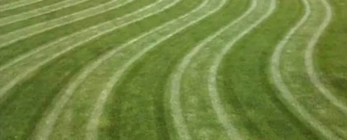 Expert garden landscaping with custom design in East Jordan, MI by B&W Nature's Maintenance