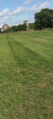 B&W Nature's Maintenance