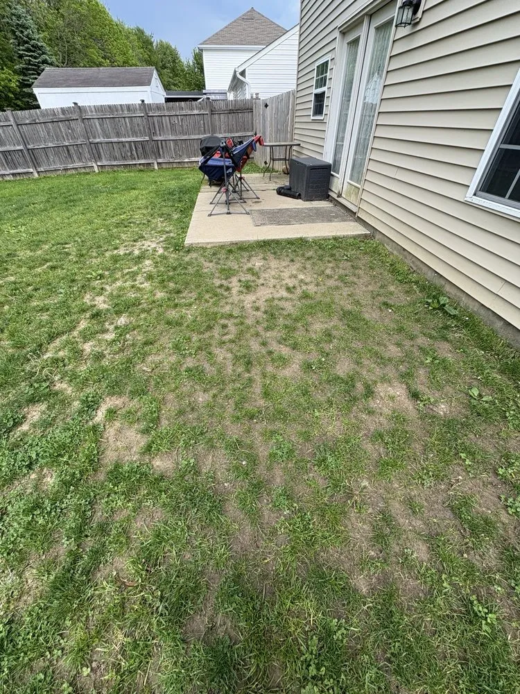 Top-rated landscaping services for outdoor upgrades across Clayton, IN - BW Outdoor Solutions