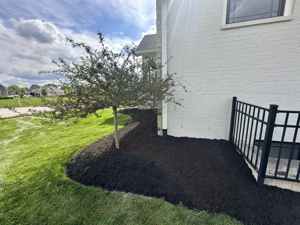Expert lawn care service for year-round maintenance in Clayton, IN by BW Outdoor Solutions