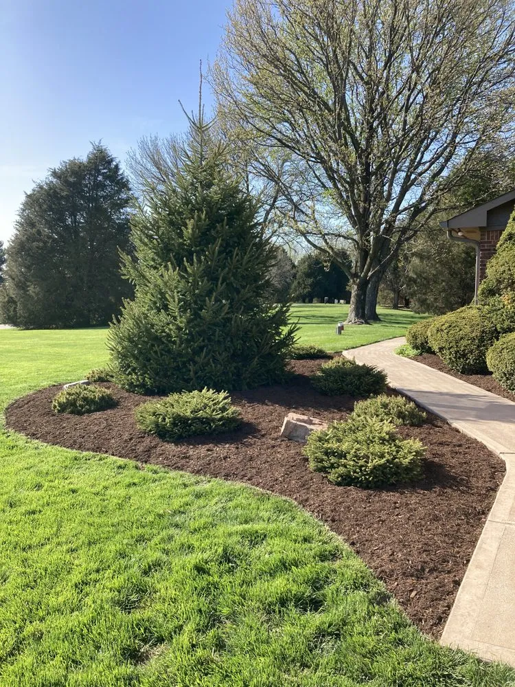 Expert yard cleanup service in Clayton, IN - BW Outdoor Solutions