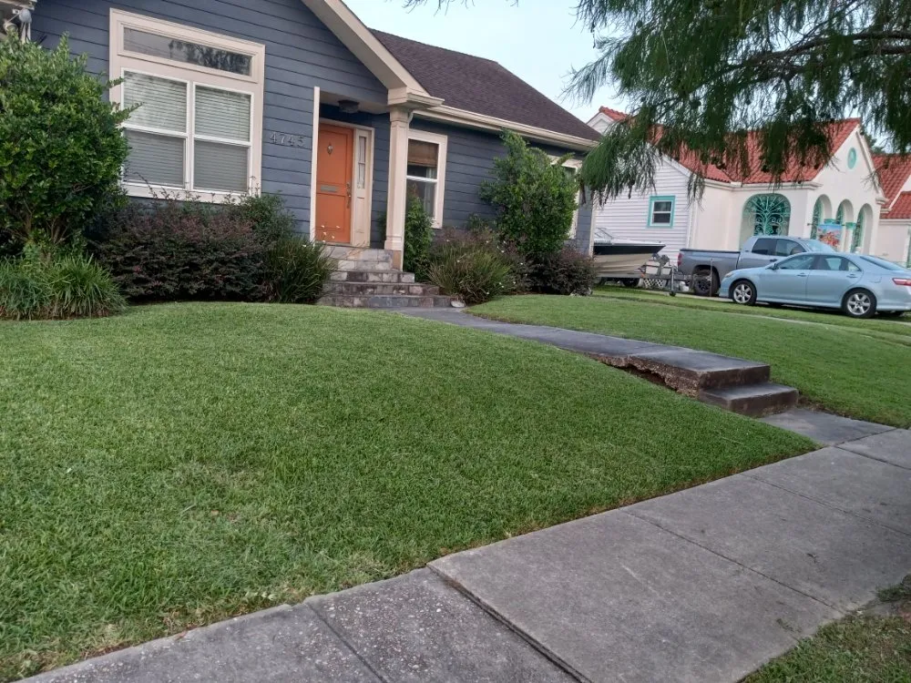 Local landscape installation in New Orleans, LA - Bway Management Services